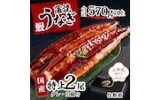 【お中元】【化粧箱】特上 国産うなぎ 蒲焼 2尾セット 【合計570g以上】 タレ・山椒付 ウナギ 鰻 うな重 ひつまぶし 人気 茨城 八千代町 ふるさと納税 冷凍 ギフト 化粧箱 お中元 中元 熨斗