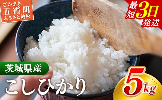 【新米】 令和8年産 『こしひかり』精米 5kg (5kg×1袋) 出荷日に合わせて精米 コシヒカリ 新米 2026年産 米 お米 ５kg コメ こめ 人気 銘柄 家庭用 茨城県産 茨城県 五霞町