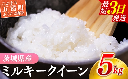 【新米】 令和8年産 『ミルキークイーン』精米 5kg (5kg×1袋) 出荷日に合わせて精米/ 米 お米 ５kg コメ こめ 人気 銘柄 家庭用 茨城県産 茨城県 五霞町