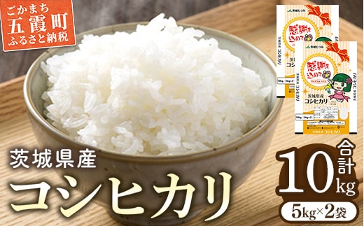 令和7年産 茨城県産コシヒカリ10kg（5kg×2） ／ お米 精米 こしひかり 旨味 安心 美味しい JA茨城むつみ 茨城県 五霞町【価格改定】