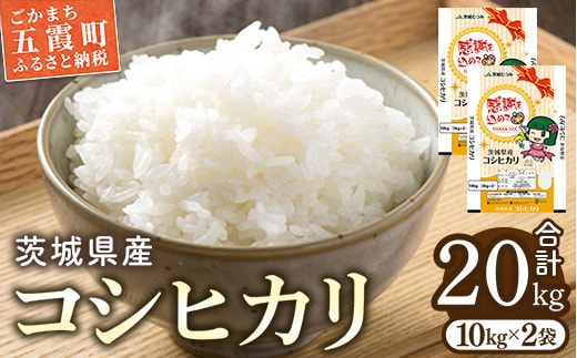令和7年産 茨城県産コシヒカリ20kg（10kg×2） ／ お米 精米 こしひかり 旨味 安心 美味しい JA茨城むつみ 茨城県 五霞町【価格改定】