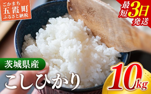 ☆令和7年産☆ 『こしひかり』精米 10kg (5kg×2袋) 出荷日に合わせて精米 コシヒカリ 米 お米 10kg コメ こめ 人気 銘柄 家計応援 家庭用 茨城県産 茨城県 五霞町【価格変更AB】