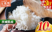 ☆令和7年産☆  『こしひかり』精米 10kg (5kg×2袋) 出荷日に合わせて精米 コシヒカリ 米 お米 10kg コメ こめ 人気 銘柄 家計応援 家庭用 茨城県産 茨城県 五霞町【価格変更AB】