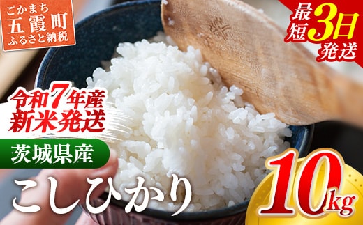 ☆令和7年産☆ 新米 『こしひかり』精米 10kg (5kg×2袋) 出荷日に合わせて精米 コシヒカリ 米 お米 10kg コメ こめ 人気 銘柄 家計応援 家庭用 茨城県産 茨城県 五霞町【価格変更AA】 within2025