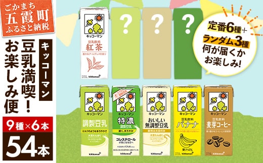 【合計200ml×54本】キッコーマン 豆乳満喫！ お楽しみ便 ／ 9種 各6本 計54本 詰め合わせ アソート 飲み比べ 豆乳飲料 豆乳 健康 おまかせ おやつ 大豆 パック 定番 飲み切り おすすめ 茨城県 五霞町