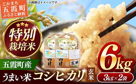 【特別栽培米】五霞町産うまい米コシヒカリ（玄米）6kg ／ 令和7年産 お米 こしひかり 減農薬 減化学肥料 茨城県 認証 取得 健康 環境【価格改定】