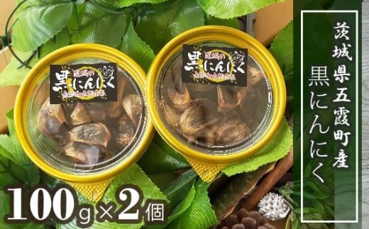 茨城県五霞町産黒にんにく（100ｇ×2個） ／ ニンニク 大蒜 黒にんにく 発酵 熟成 無添加 野菜 茨城県 五霞町 五霞町産 特産品