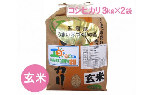五霞町産うまい米コシヒカリ（玄米）6kg ／ 令和7年産 お米 こしひかり 健康 茨城県【価格改定】