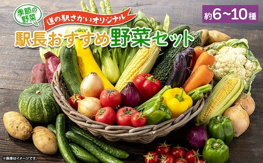 季節の野菜 「道の駅さかいオリジナル」駅長おすすめ野菜セット