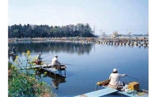 兎谷津へら鮒センター1日釣券3枚セット