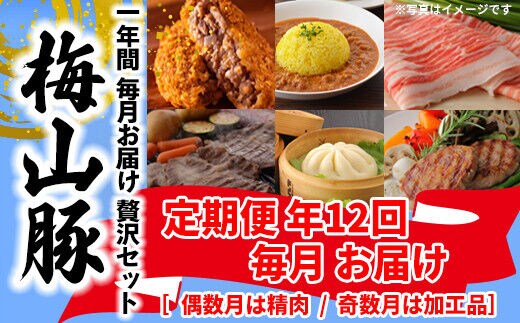 【12回毎月定期便】 塚原牧場 幻の豚 「梅山豚」 点心セット ブランド豚 メイシャントン 境町