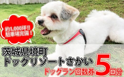 茨城県境町 広々1000坪！ ドッグラン 回数券（５回分）１回分お得！