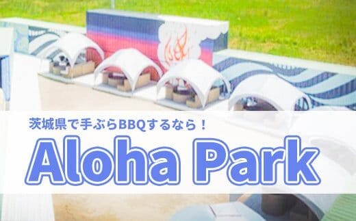 茨城県境町 Aloha Park BBQ 施設 利用券