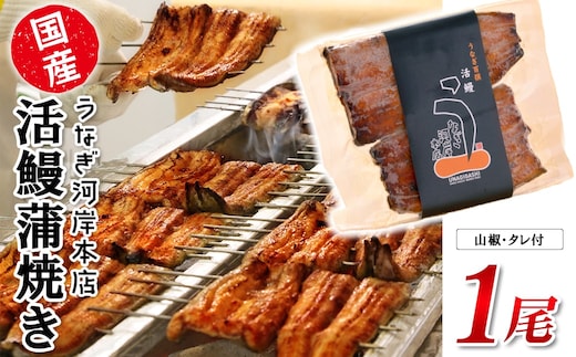 うなぎ河岸本店 【国産】 鰻蒲焼き 1尾 山椒/タレ付
