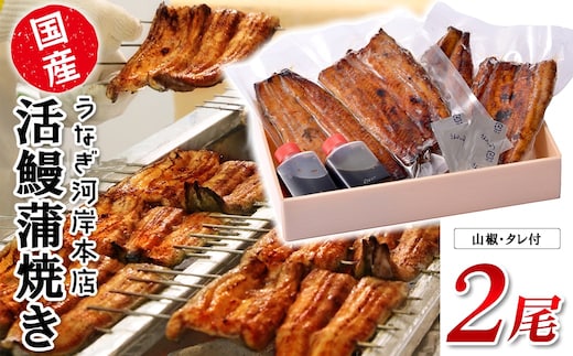 うなぎ河岸本店 【国産】 鰻蒲焼き 2尾 山椒/タレ付 ウナギ