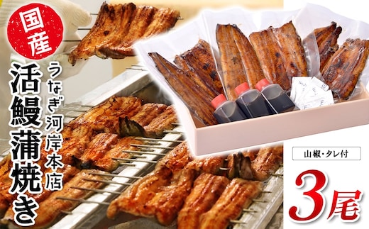 うなぎ河岸本店 【国産】 鰻蒲焼き 3尾 山椒/タレ付