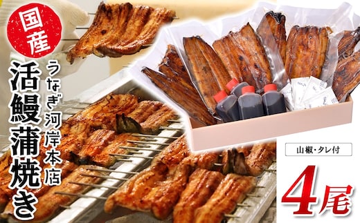 うなぎ河岸本店 【国産】 鰻蒲焼き 4尾 山椒/タレ付 ウナギ