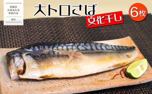 【茨城県共通返礼品/神栖市】大トロ さば 文化干し 1枚真空×6パック 魚 さば サバ 鯖 真空パック 化粧箱 冷凍 一夜干し