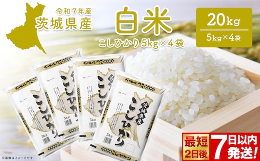 こしひかり 20kg (5kg×4袋) 最短2日後発送【令和7年産/白米】茨城県産 米 小分け 2025年産 スピード便 コシヒカリ K2704