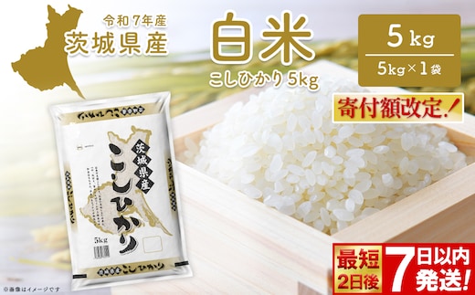  ◎最短2日後発送◎ コシヒカリ 5kg 米 小分け 茨城県産 2025年産 コシヒカリ 【令和7年産/白米】K2670