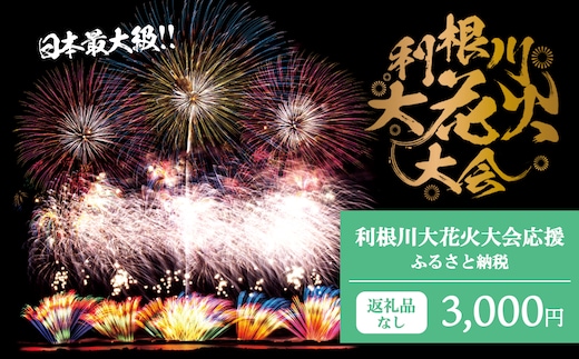 【返礼品なし】利根川大花火大会応援ふるさと納税 (3000円分) 【茨城県境町】