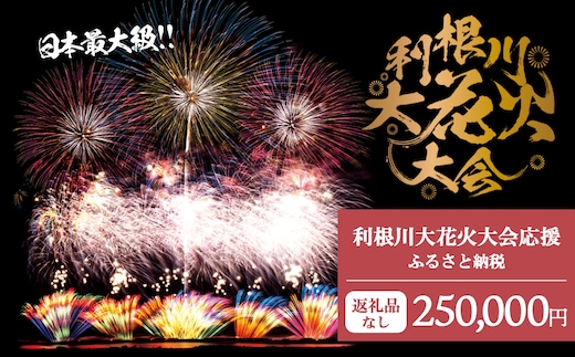 【返礼品なし】利根川大花火大会応援ふるさと納税 (250000円分) 【茨城県境町】