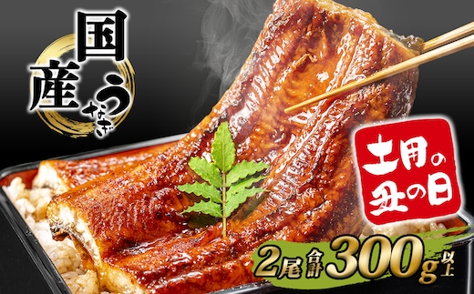 【丑の日までにお届け】 国産 うなぎ 蒲焼 2尾 計300g以上 鰻 うなぎ蒲焼 蒲焼き 人気 ウナギ 簡易包装 タレ 山椒 土用の丑の日 父の日 ギフト K2390