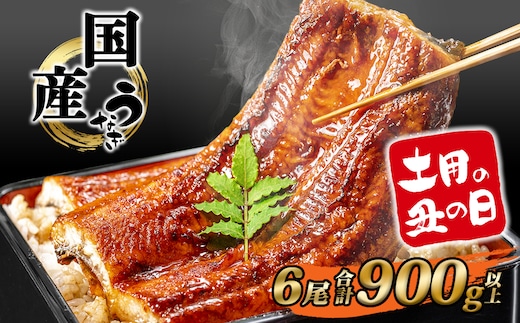 【丑の日までにお届け】 国産 うなぎ 蒲焼き 6尾 計900g以上 うなぎ蒲焼 鰻 鰻蒲焼 うなぎ蒲焼き ウナギ 国産うなぎ 簡易包装 タレ 山椒 土用の丑の日 K2392
