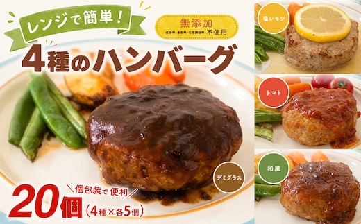 ◎無添加◎ 4種のハンバーグ 食べ比べ ローズポーク使用 詰合せ 国産 特製ソース 20個 個包装 ハンバーグ 冷凍 小分け 簡単 詰め合わせ はんばーぐ 惣菜 ソース付 ジューシー 柔らかい 弁当 特製 人気 プレゼント ギフト 贈答 ポーク 冷凍食品 おかず K2729