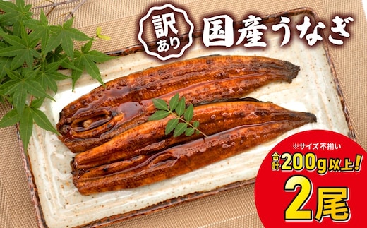 【7日以内発送】訳あり さかい河岸水産 国産うなぎ お試し 2尾 200g以上 人気 鰻 うなぎ蒲焼 K2629