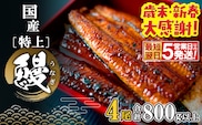 【最短翌日発送】 国産 特上うなぎ 蒲焼き 4尾 (800g以上) 簡易袋 タレ 山椒付き 鰻 うなぎ ウナギ K2356