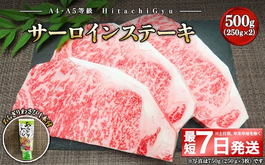 K2420 <最短7日発送> 常陸牛A5等級 サーロインステーキ500g (250g×2枚) あらぎりわさび1本付