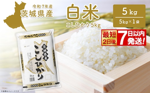 期間限定!! 【最短2日後7日以内発送】【令和7年産/白米】 こしひかり 5kg 茨城県産 米 小分け 2025年産 K2670