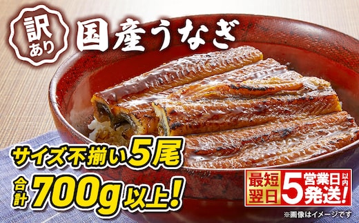 〈最短翌日発送〉【訳あり】さかい河岸水産 国産 うなぎ 蒲焼き 5尾 700g以上！ ※サイズ不揃い 小分け K2672