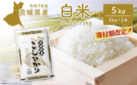 こしひかり 茨城県産 5kg〈令和8年3月内発送〉【令和7年産/白米】茨城県産 米 小分け 2025年産 コシヒカリ K2670