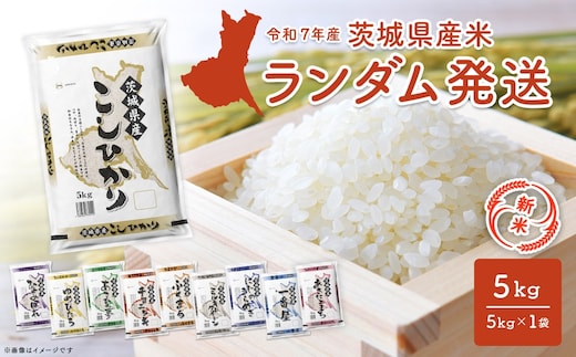 【新米/白米】 令和7年産 ＜令和7年11月内発送＞ ※ランダム※ 令和7年産 茨城県産 5kg 茨城県産 新米 米 無洗米 小分け 2025年産 K2464