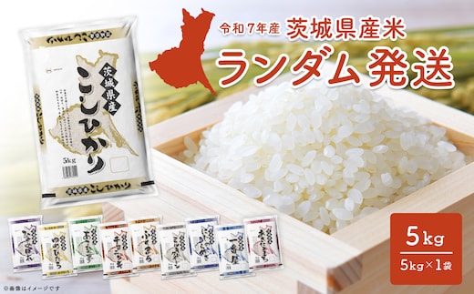 【令和7年産/白米】 ＜令和8年1月内発送＞ ※ランダム※ 茨城県産 5kg 米 小分け 2025年産 K2464