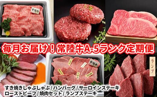 【定期便 全12回】茨城の高級ブランド「常陸牛」A-5ランク