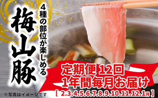 【12回毎月定期便】 塚原牧場 幻の豚 「梅山豚」 しゃぶしゃぶセット ブランド豚 メイシャントン 境町