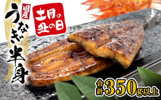 【土用の丑の日までにお届け】 国産 うなぎ ハーフカット 6パック 合計350g以上 うなぎ 鰻 ウナギ うなぎ蒲焼 うなぎ蒲焼き 蒲焼 蒲焼き 国産 タレ 山椒 人気 たれ 半身 K2669