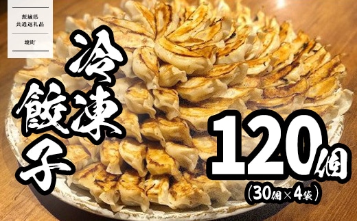 【茨城共通返礼品】<2025年12月発送> ローズポーク使用 道の駅さかい 特製餃子 120個(冷凍) 国産 にんにく ぎょうざ 餃子 ギョーザ 小分け 冷凍餃子 冷凍ギョーザ K1497