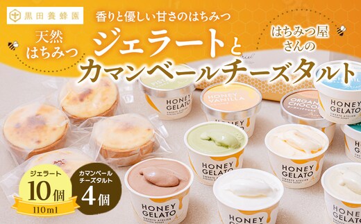 はちみつ ジェラート と はちみつ屋さん の カマンベールチーズタルト（ジェラート等14個） スイーツ お菓子 アイス シャーベット お菓子 ケーキ タルト