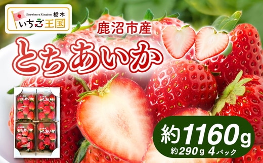 【先行予約】出会いの森いちご園 とちあいか （290g×4パック） | いちご イチゴ 苺 栃木県 果物 くだもの フルーツ とちあいか 新鮮 贈答 ギフト デザート スイーツ ※2026年12月～発送