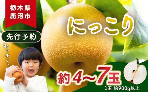 【先行予約】梨(にっこり) 4玉～7玉入り×1箱 (4.5kg以上) ※2026年10月上旬～11月下旬頃に順次発送予定
