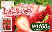 【先行予約】 いちご とちあいか 出会いの森いちご園 （290g×4パック） | いちご イチゴ 苺 栃木県 果物 くだもの フルーツ とちあいか 新鮮 贈答 ギフト デザート スイーツ ※2026年12月～発送