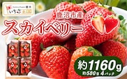 【先行予約】いちご スカイベリー 出会いの森いちご園 （290g×4パック） | いちご イチゴ 苺 栃木県 果物 くだもの フルーツ スカイベリー 新鮮 贈答 ギフト デザート スイーツ ※2026年12月～発送