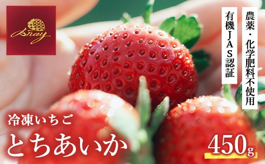 冷凍いちご 450g×1