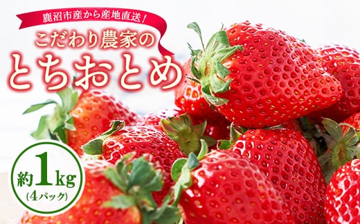 こだわり農家のとちおとめ 1kg 4パック ※2026年1月上旬～3月下旬頃に順次発送予定 ※離島への配送不可