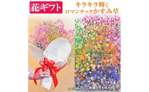 ふわふわブーケ ｜ 生花 花 ギフト ロマンチックかすみ草 七色 輝く カスミソウ カスミ草 かすみそう お祝い プレゼント カラフル 花束 おしゃれ