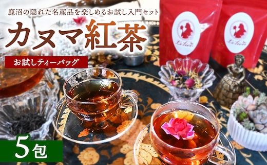 【幻の和紅茶】カヌマ紅茶 お試しティーバッグ 5包セット（3g×5包） | 和紅茶 紅茶 ティーパック 国産 茶 茶葉 リーフ 希少 プレゼント ギフト ご自宅用 家庭用 栃木県 鹿沼市 板荷